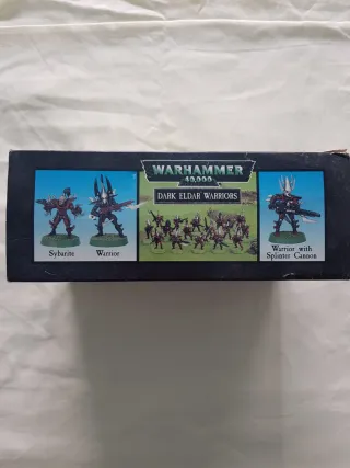 Warhammer 40k - Dark Eldar Warriors Battle Squad