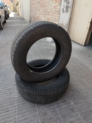 Neumáticos Michelin 225/65/17 102T M+S