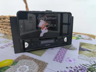 Radio Coche Pioneer SPH-10Bt + Adaptador DIN 2