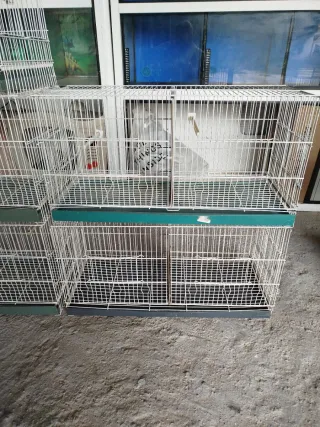 Jaulas de cría blancas