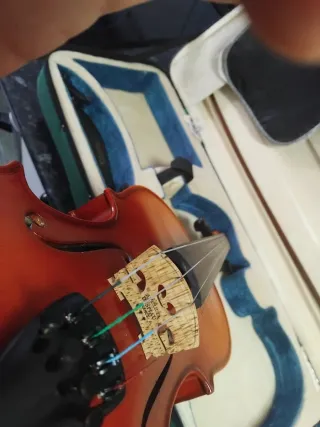 Violín 4/4 Sinfonia con accesorios