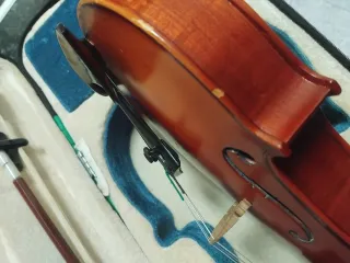 Violín 4/4 Sinfonia con accesorios