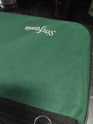 Violín 4/4 Sinfonia con accesorios