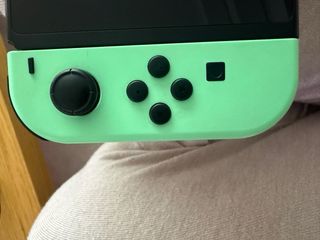 Nintendo Switch Ed. Animal Crossing