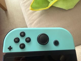 Nintendo Switch Ed. Animal Crossing