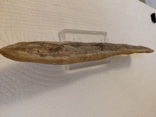 Fósil de pez antiguo