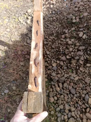Reja antigua de madera y metal