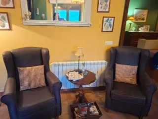 Pareja de sillón orejero tipo chenilla chocolate