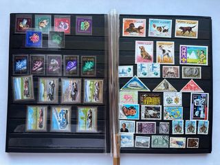 Reservado para Ricardo!