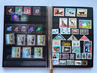 Reservado para Ricardo!