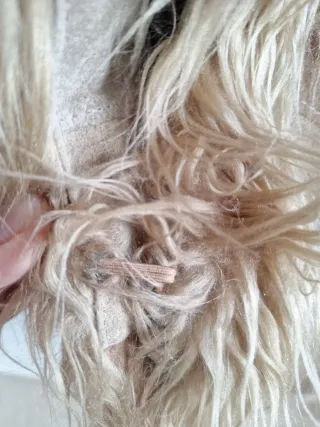 Chaqueta Wilson Leather Patchwork Talla L