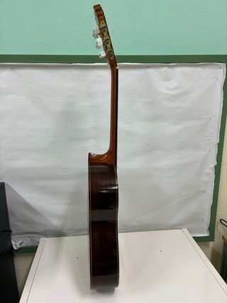 Guitarra Felipe Diaz