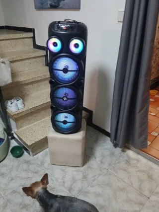 Altavoz DS-8338 Karaoke 20W Bluetooth