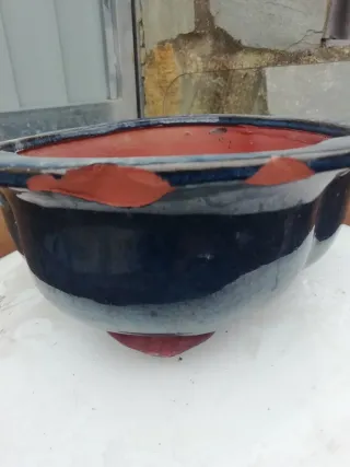 Macetas de cerámica para bonsái