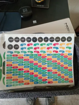 Mod F1 Moza ES y ESX