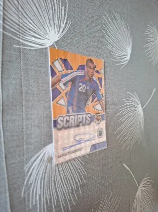 Carta de Futbol David Trezeguet Panini Scripts