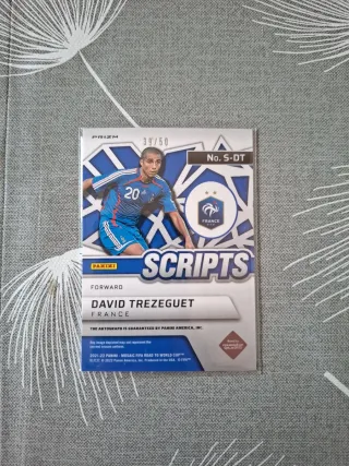 Carta de Futbol David Trezeguet Panini Scripts