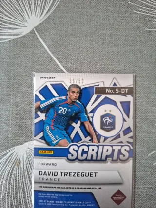 Carta de Futbol David Trezeguet Panini Scripts