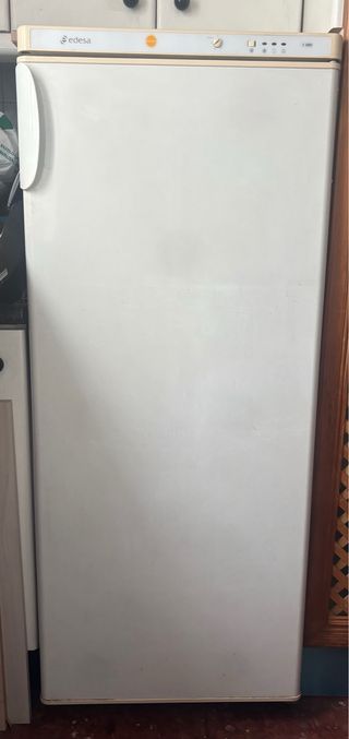 Congelador vertical Edesa 210L 135 cm alto