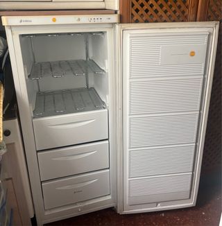 Congelador vertical Edesa 210L 135 cm alto