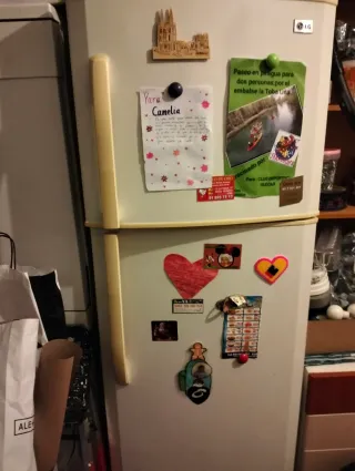 Lavastoviglie, lavatrice e frigorifero