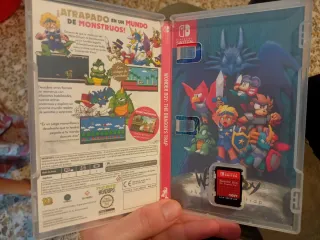 Wonder Boy The Dragon's Trap Switch