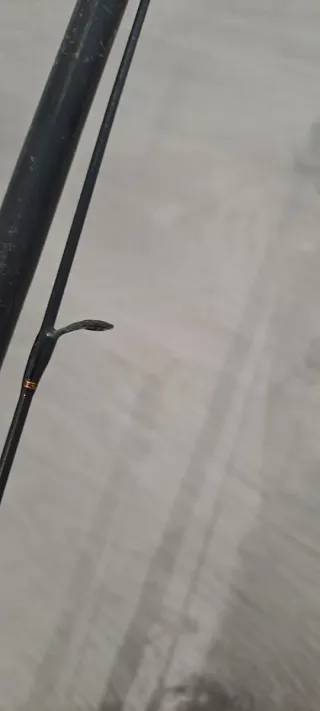 Caña y carrete Daiwa Crossfire LT 2500-XH