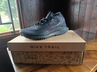 Zapatillas Nike Trail Gore-Tex Negras