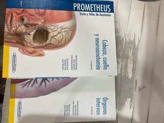 Atlas anatomia prometheus organos internos