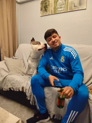 Residencia canina en Málaga