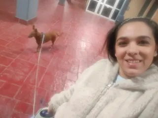 Residencia canina en Málaga