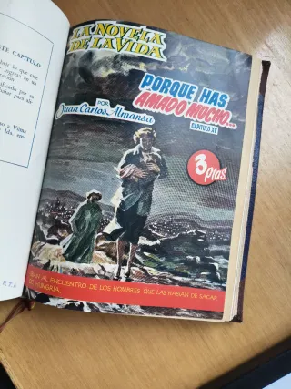 La Novela de la Vida .Porque me has amado mucho...