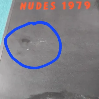 Libro Madonna nudes 1979