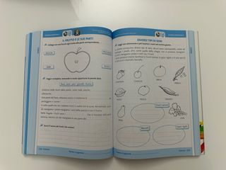 Insegnare Lim. Matematica E Scienze. Per La 2a ...