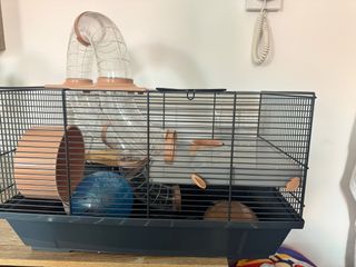 Casita Hamster Accesorios Incluidos