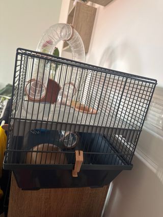 Casita Hamster Accesorios Incluidos