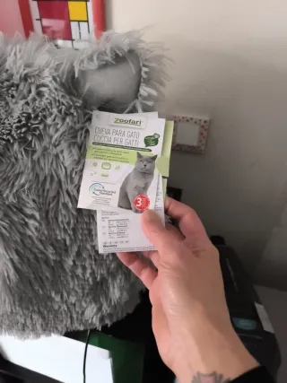 Camita muy suave para gatitos y cojín viscolastico