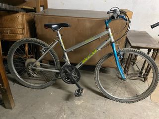 Bicicleta infantil de marchas.