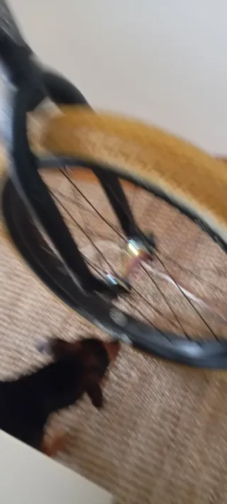 BMX Wethepeople Arcade