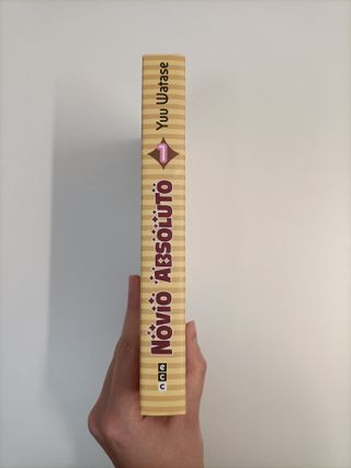 Manga Novio absoluto