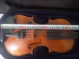 Viola con funda y arco