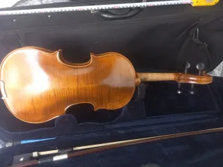 Viola con funda y arco