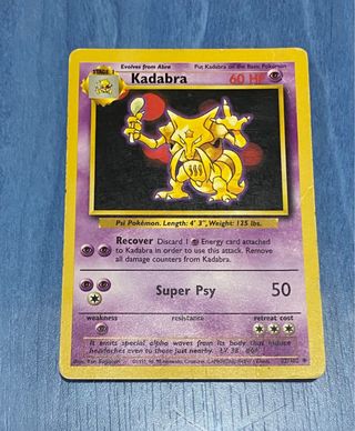 LOTE TRAINERS + BASE SET