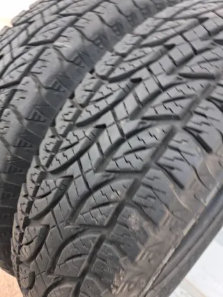 Neumáticos 195 R 15