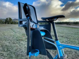 Silla infantil para bicicleta, Thule Ridealong.