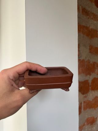 Maceta bonsái shibakatsu