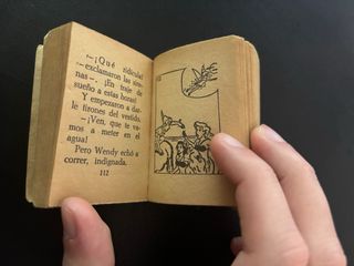 Mini Infancia Peter Pan