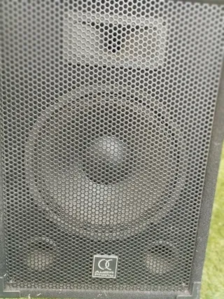 Altavoz Subwoofer Discoteca CGAudio Negro