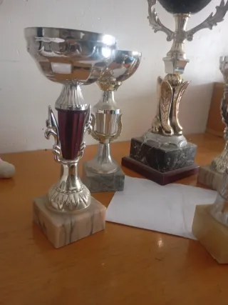 Lote de Trofeos