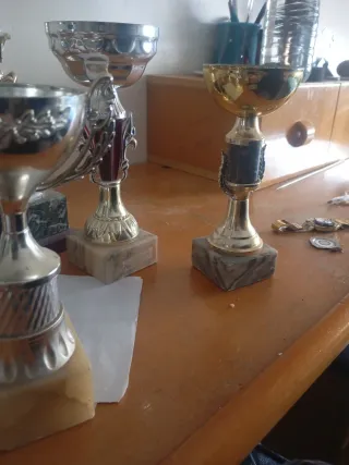Lote de Trofeos